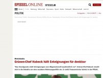 Bild zum Artikel: Mietdebatte: Grünen-Chef Habeck hält Enteignungen für denkbar