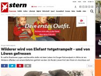 Bild zum Artikel: Krüger-Nationalpark: Wilderer wird von Elefant totgetrampelt - und von Löwen gefressen