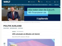 Bild zum Artikel: AfD schmiedet ein Bündnis mit Salvini