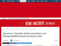 Bild zum Artikel: Haustiere: Forscher haben errechnet, wie klimaschädlich Hund und Katze sind