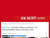 Bild zum Artikel: Haustiere: Forscher haben errechnet, wie klimaschädlich Hund und Katze sind