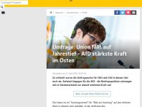 Bild zum Artikel: Umfrage: Union fällt auf Jahrestief - AfD stärkste Kraft im Osten