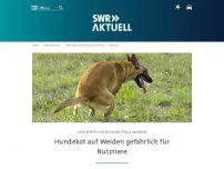 Bild zum Artikel: Hundekot auf Äckern bringt Keime in Lebensmittel