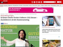 Bild zum Artikel: 40 statt 20 Euro pro Tonne - Grünen-Chefin fordert höhere CO2-Steuer - Autofahrern droht Kostenanstieg