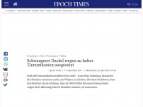 Bild zum Artikel: Schwangerer Dackel wegen zu hoher Tierarztkosten ausgesetzt