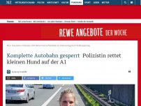 Bild zum Artikel: Komplette Autobahn gesperrt: Polizistin rettet kleinen Hund auf der A1