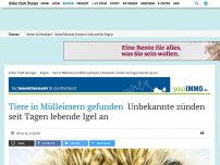 Bild zum Artikel: Tiere in Mülleimern gefunden: Unbekannte zünden seit Tagen lebende Igel an