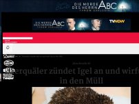 Bild zum Artikel: Tierquäler zündet Igel an und wirft ihn in den Müll