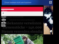 Bild zum Artikel: Vergiftet: 140.000 Bienen elendig verendet