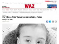 Bild zum Artikel: Nachruf: Der kleine Tiger Julius hat seine letzte Reise angetreten