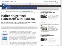 Bild zum Artikel: Stadt Zürich: Halter prügelt bei Haltestelle auf Hund ein