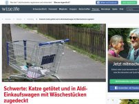 Bild zum Artikel: Schwerte: Katze getötet und in Aldi-Einkaufswagen mit Wäschestücken zugedeckt