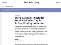 Bild zum Artikel: «Nach der Wahl wird jeder Tag in Brüssel Stalingrad sein»