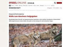 Bild zum Artikel: Einigung der Bundesregierung: Wölfe zum Abschuss freigegeben