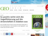 Bild zum Artikel: So positiv wirkt sich die Vogelfütterung auf die Artenvielfalt in Städten aus