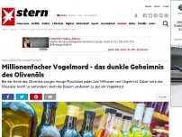 Bild zum Artikel: Millionenfacher Vogelmord - das dunkle Geheimnis des Olivenöls