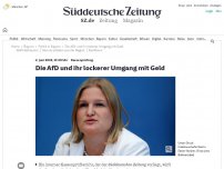 Bild zum Artikel: Kassenprüfung: Die AfD und ihr lockerer Umgang mit Geld