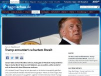 Bild zum Artikel: Trump ermuntert zu hartem Brexit