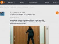 Bild zum Artikel: SPD-Chefin Andrea Nahles kündigt Rücktritt an