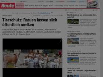 Bild zum Artikel: Tag der Milch: Tierschutz: Frauen lassen sich öffentlich melken