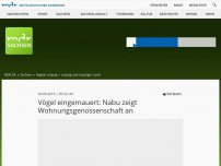 Bild zum Artikel: Vögel eingemauert: Nabu zeigt Wohnungsgenosenschaft an