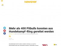 Bild zum Artikel: Mehr als 400 Pitbulls konnten aus Hundekampf-Ring gerettet werden