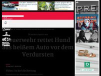 Bild zum Artikel: Feuerwehr rettet Hund aus heißem Auto vor dem Verdursten