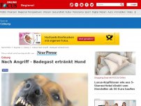 Bild zum Artikel: Coburg - Nach Angriff - Badegast ertränkt Hund