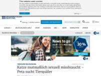 Bild zum Artikel: Katze mutmaßlich sexuell missbraucht – Peta sucht Tierquäler