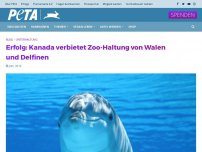 Bild zum Artikel: Erfolg: Kanada verbietet Zoo-Haltung von Walen und Delfinen