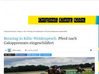 Bild zum Artikel: Renntag in Köln-Weidenpesch: Pferd nach Galopprennen eingeschläfert