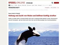 Bild zum Artikel: Neues Gesetz in Kanada: Haltung und Zucht von Walen und Delfinen künftig strafbar