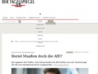 Bild zum Artikel: Beriet Maaßen doch die AfD?