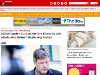 Bild zum Artikel: Finanzierungsmodelle fehlen bislang - 100 Milliarden Euro allein fürs Klima: So viel würde uns ein grüner Kanzler kosten