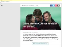 Bild zum Artikel: Grüne warnen CDU vor Koalition mit der AfD