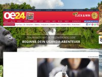 Bild zum Artikel: Messerstich auf Donauinselfest: 26-Jähriger in Lebensgefahr