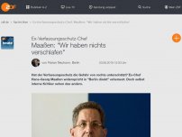 Bild zum Artikel: Maaßen: 'Wir haben nichts verschlafen'