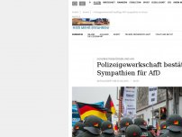 Bild zum Artikel: Sicherheitsbehörden und AfD: Polizeigewerkschaft bestätigt Sympathien für AfD