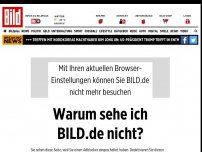 Bild zum Artikel: Grünen-Chefin über Kanzlerin - Klimawandel Mitschuld an Merkels Zitteranfällen