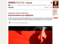 Bild zum Artikel: Verständnis für den Mord an Walter Lübcke: Die Extremisten aus Pegidistan