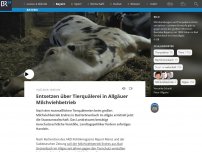 Bild zum Artikel: Entsetzen über Tierquälerei in Allgäuer Milchviehbetrieb