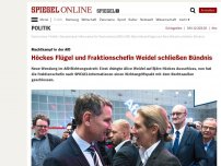Bild zum Artikel: Machtkampf in der AfD: Höckes Flügel und Fraktionschefin Weidel schließen Bündnis
