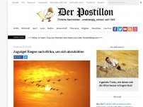 Bild zum Artikel: Zugvögel fliegen nach Afrika, um sich abzukühlen