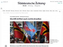 Bild zum Artikel: Rechtsextremismus: Die AfD driftet nach rechts draußen