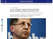 Bild zum Artikel: „Es ist schlimm“: Maaßen kritisiert Merkel wegen ungeklärter Migrationspolitik scharf