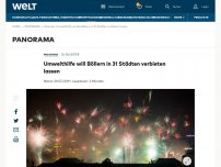 Bild zum Artikel: Umwelthilfe will Böllern in 31 Städten verbieten lassen