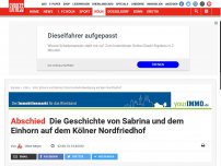 Bild zum Artikel: Abschied: Die Geschichte von Sabrina und dem Einhorn auf dem Kölner Nordfriedhof
