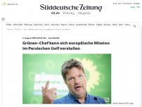 Bild zum Artikel: Iran-Konflik: Grünen-Chef kann sich europäische Mission im Persischen Golf vorstellen