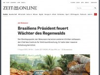 Bild zum Artikel: Jair Bolsonaro: Brasiliens Wächter über Regenwald gefeuert
