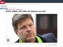 Bild zum Artikel: 'Aber nicht unter US-Führung': Grüne zeigen sich offen für Mission am Golf